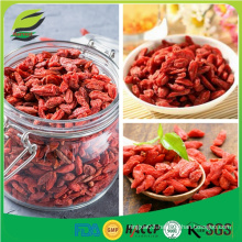 gift packaging organic goji berries frozen medlar fruits for sale